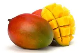 Bebe Mangue