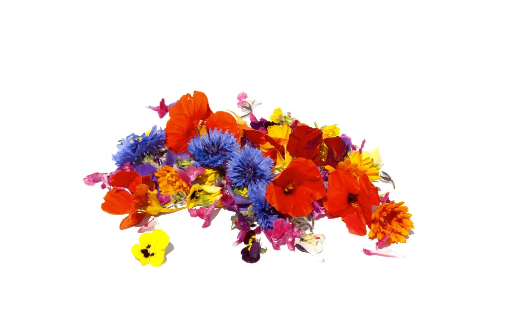 Fleurs Commestibles Locales