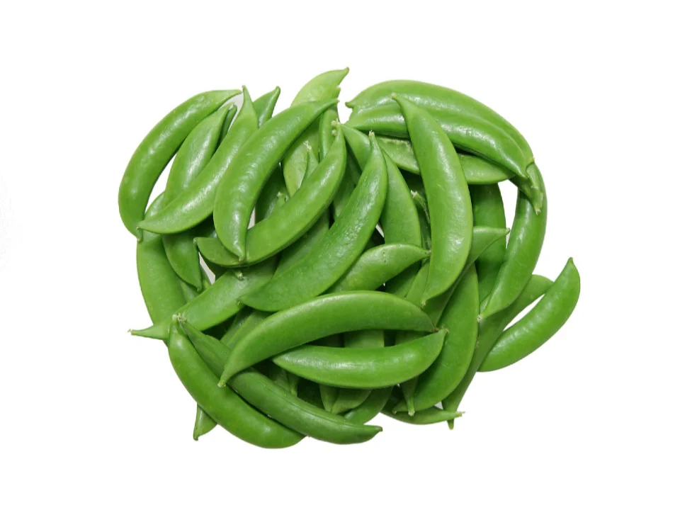 Haricot mange tout