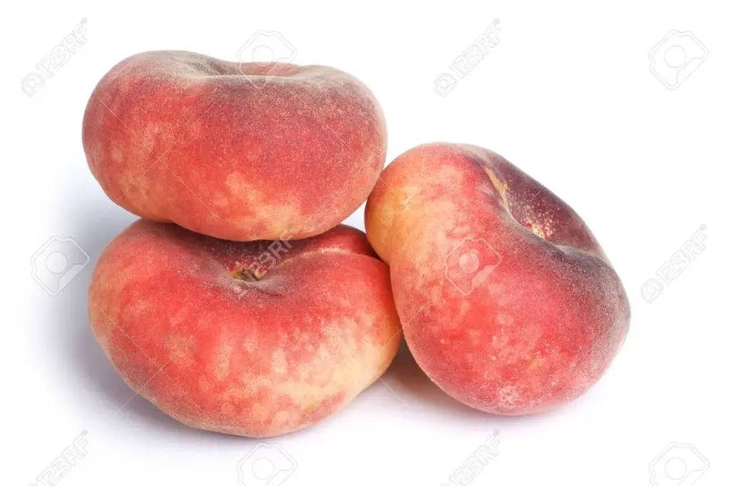 Nectarine Plat
