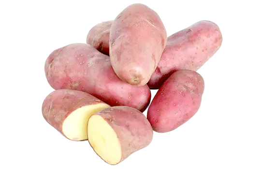 Pomme de terre rouge