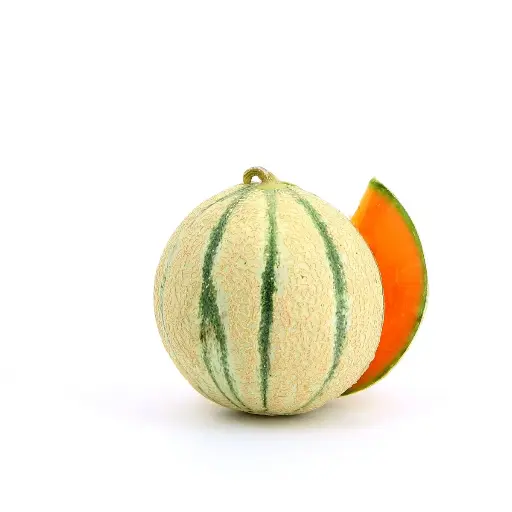 [98] Melon salache taché