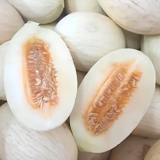 melon salache blanc