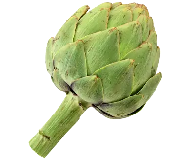 Artichaud