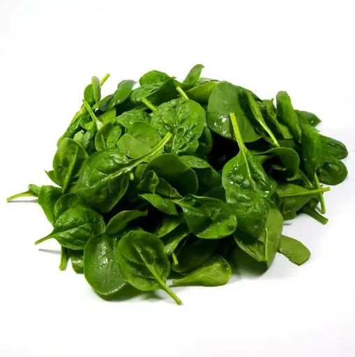 [347] Pousse d'epinard