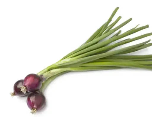 [361] Oignon vegetal tige