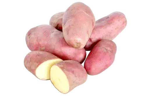 [376] Pomme de terre rouge